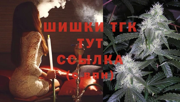 spice Белокуриха